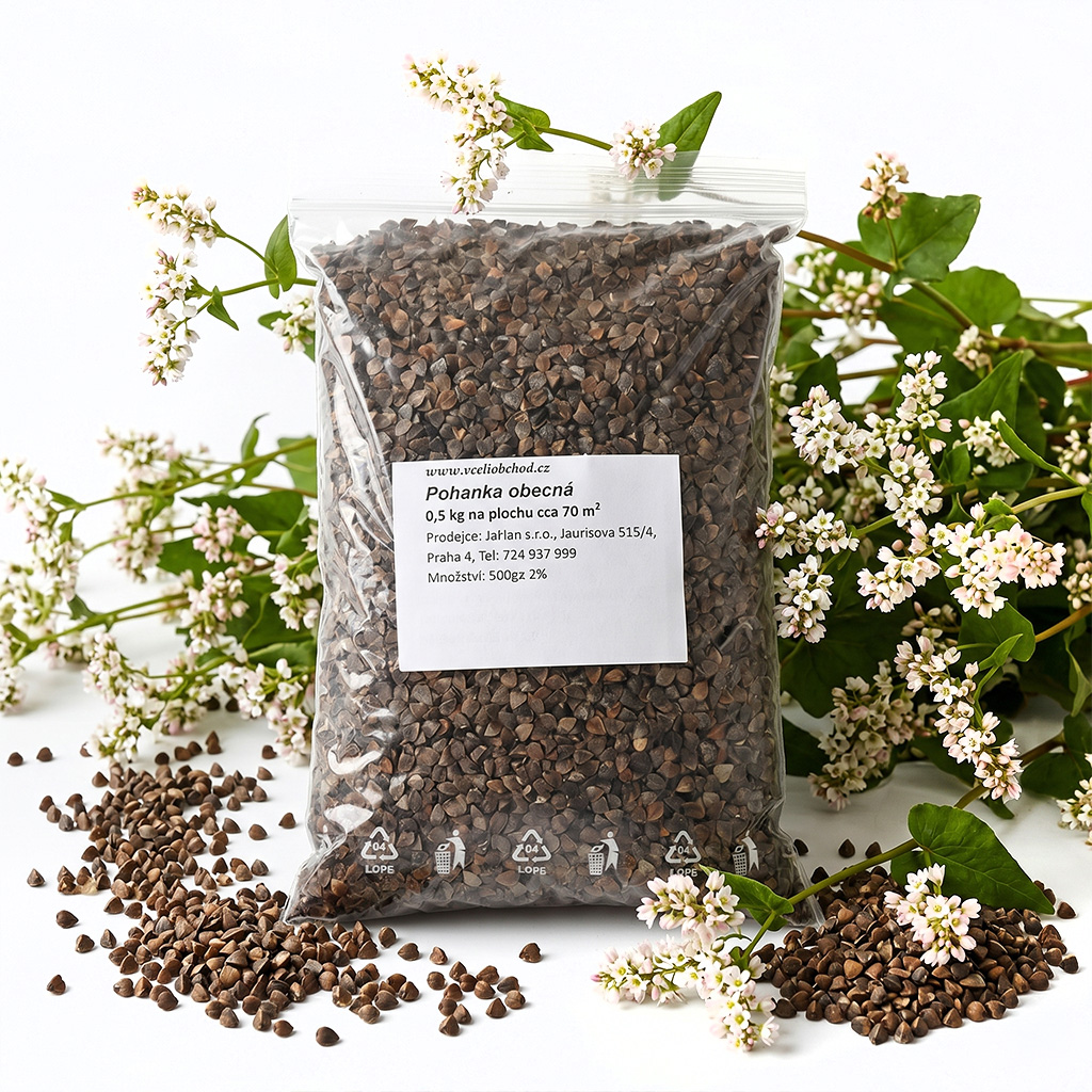 Buchweizen (Samen / Bienenweide) - 0,5 kg