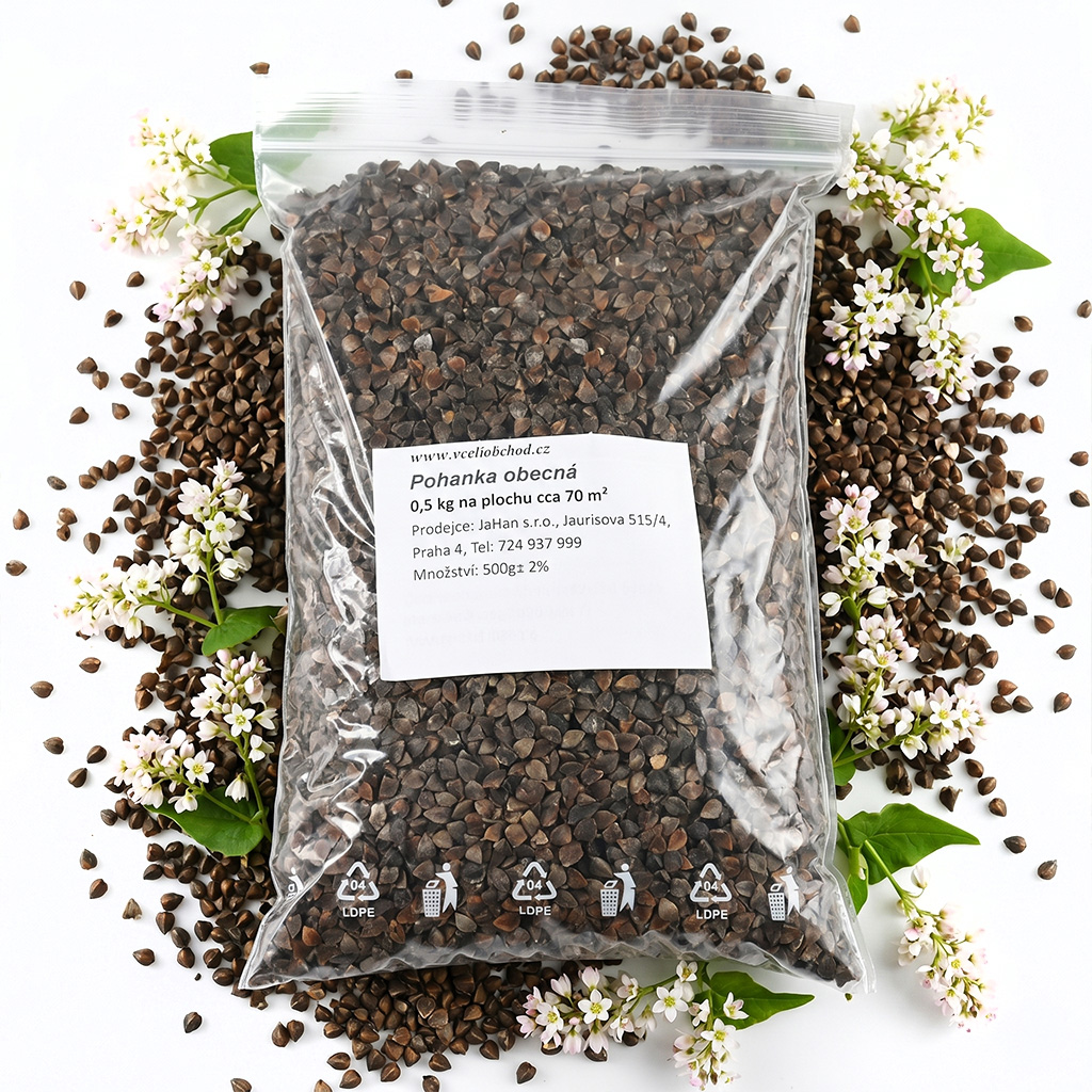 Buchweizen (Samen / Bienenweide) - 0,5 kg