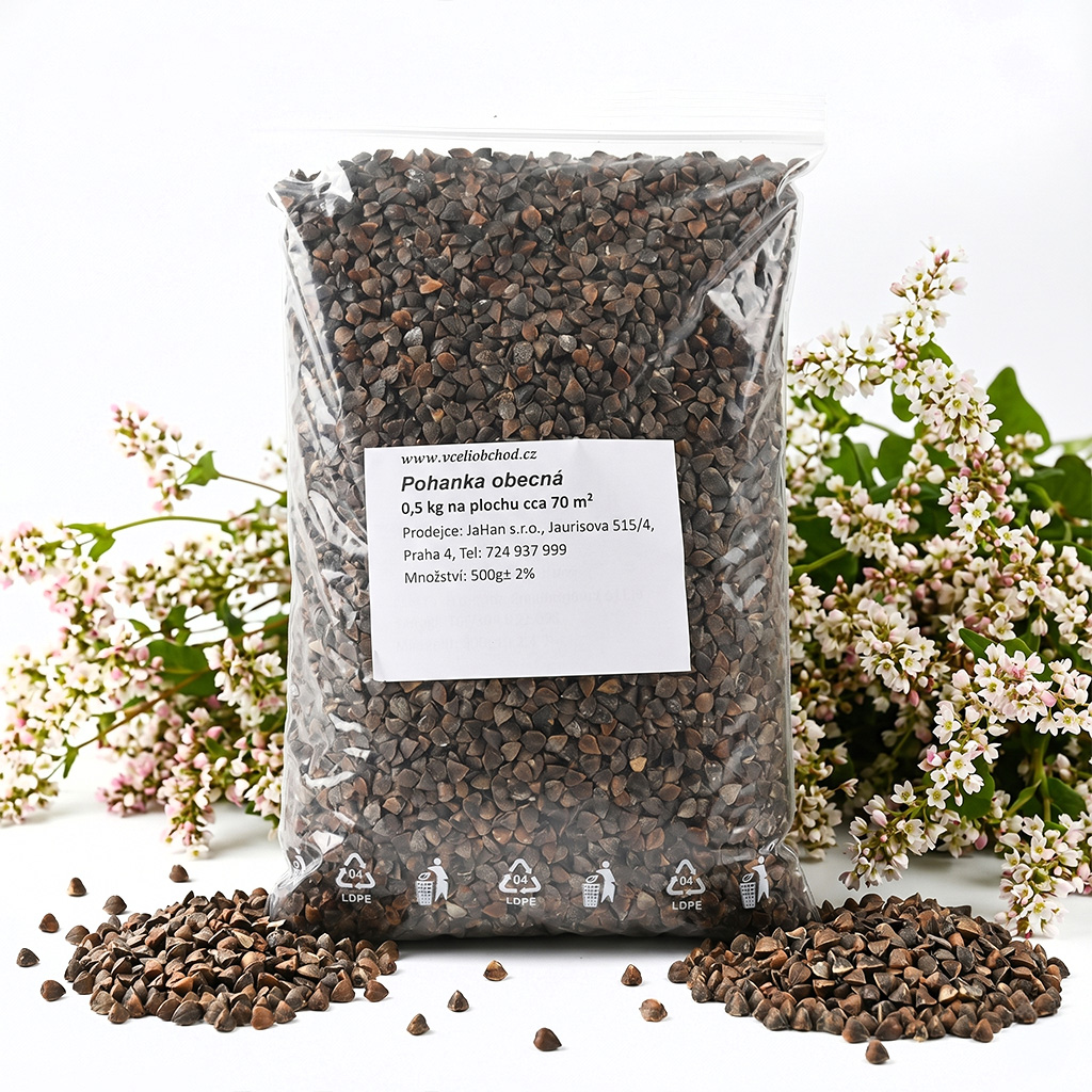 Buchweizen (Samen / Bienenweide) - 0,5 kg