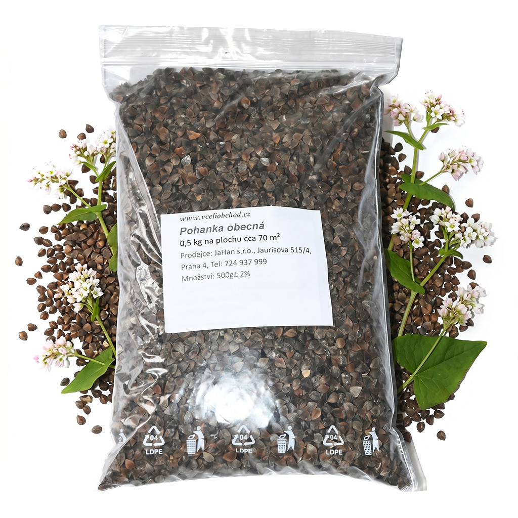 Buchweizen (Samen / Bienenweide) - 0,5 kg