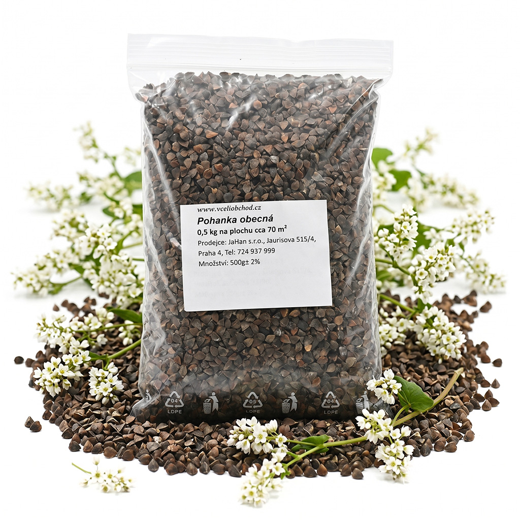 Buchweizen (Samen / Bienenweide) - 0,5 kg