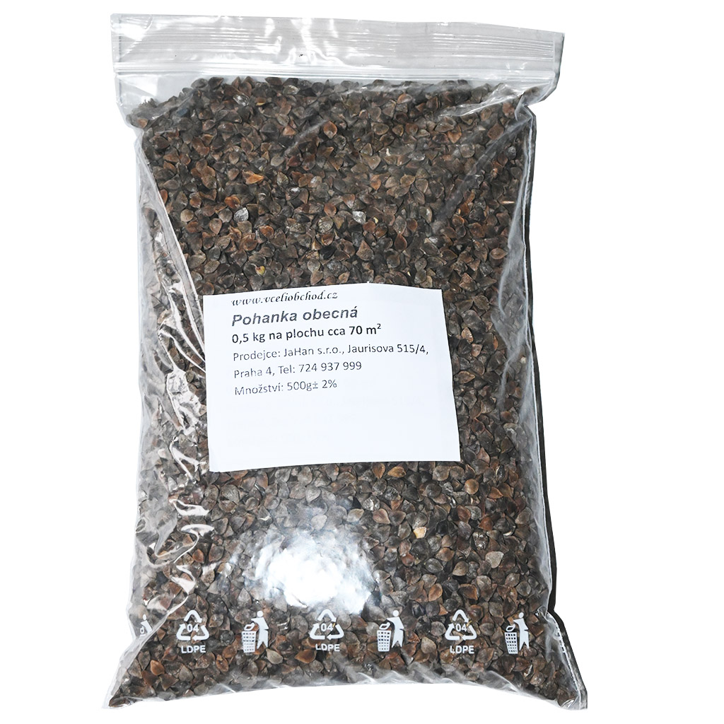 Buchweizen (Samen / Bienenweide) - 0,5 kg