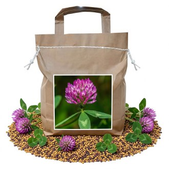 Wiesenklee SLAVIN - 1 kg