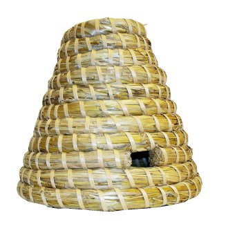 Ein kleiner Bienenkorb