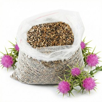 Mariendistel (Samen / Bienenweide) - 0,5 kg