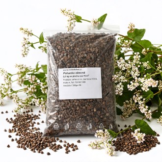 Buchweizen (Samen / Bienenweide) - 0,5 kg