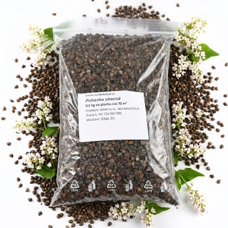 Buchweizen (Samen / Bienenweide) - 0,5 kg