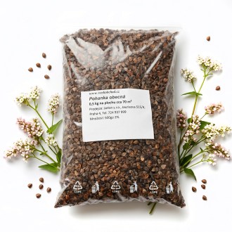 Buchweizen (Samen / Bienenweide) - 0,5 kg