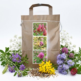 Nektarspendermischung für Bienen Dauersaat Frühjahr - 1 kg