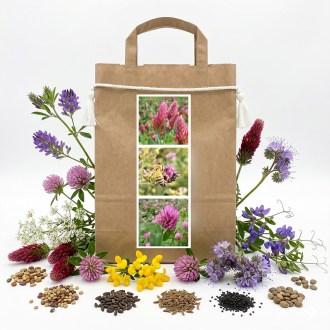 Nektarspendermischung für Bienen Dauersaat Frühjahr - 1 kg