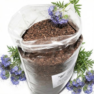 Büschelschön (Samen / Bienenweide) - 1 kg